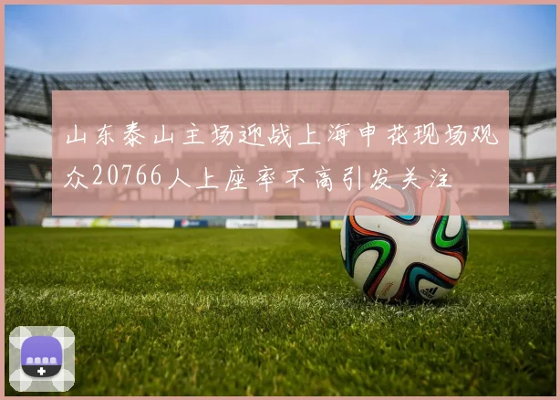 山东泰山主场迎战上海申花现场观众20766人上座率不高引发关注